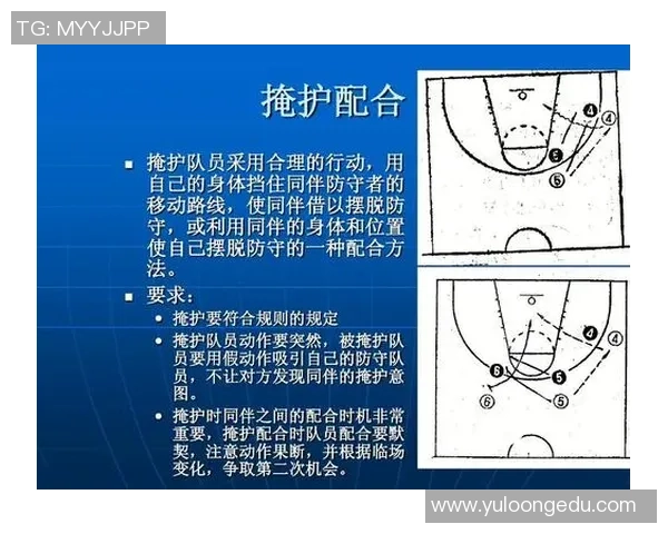 南京篮球队战术分析与未来发展方向的深度探讨与思考