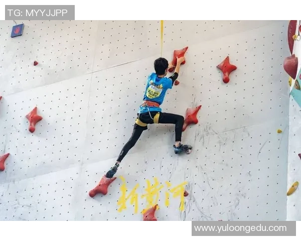 南京攀岩队的节奏与技巧探讨攀岩运动的魅力与挑战