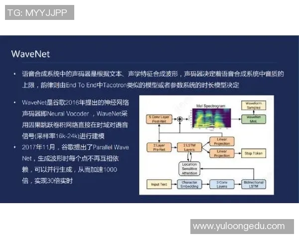 南京网球队进攻策略深度解析与技术探讨