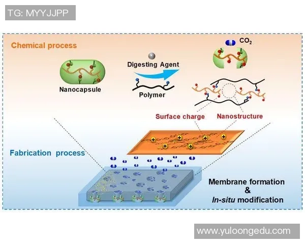 南京羽毛球队边路渗透战术分析及其在比赛中的得失评估
