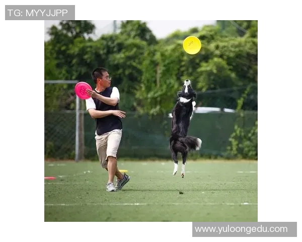 周磊独家分享飞盘技巧与心得体会助你提升竞技水平